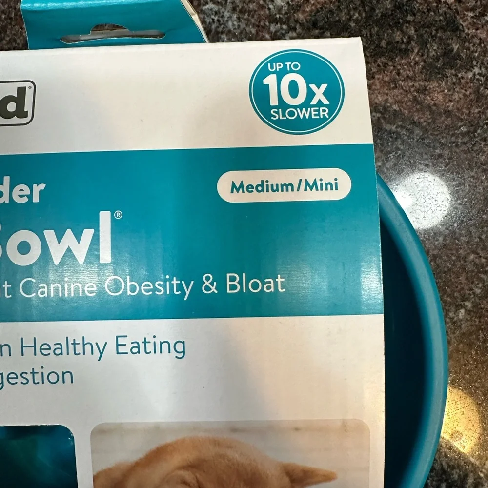 NWT Outward Hound Slow Feeder Bowl